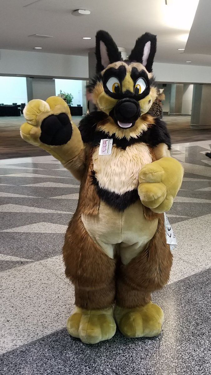 petorawolf's tweet photo. Finally... me as the plush GSD :) https://t.co/pfHq9rSvj8
