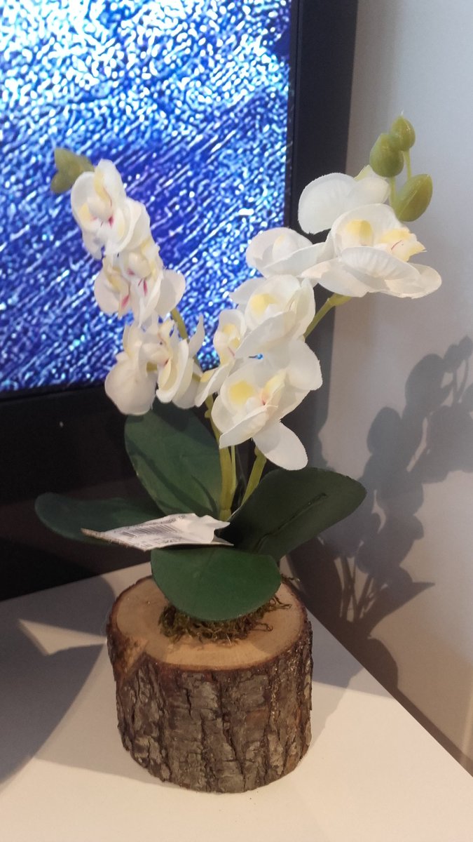 Günaydın yeni bir güne