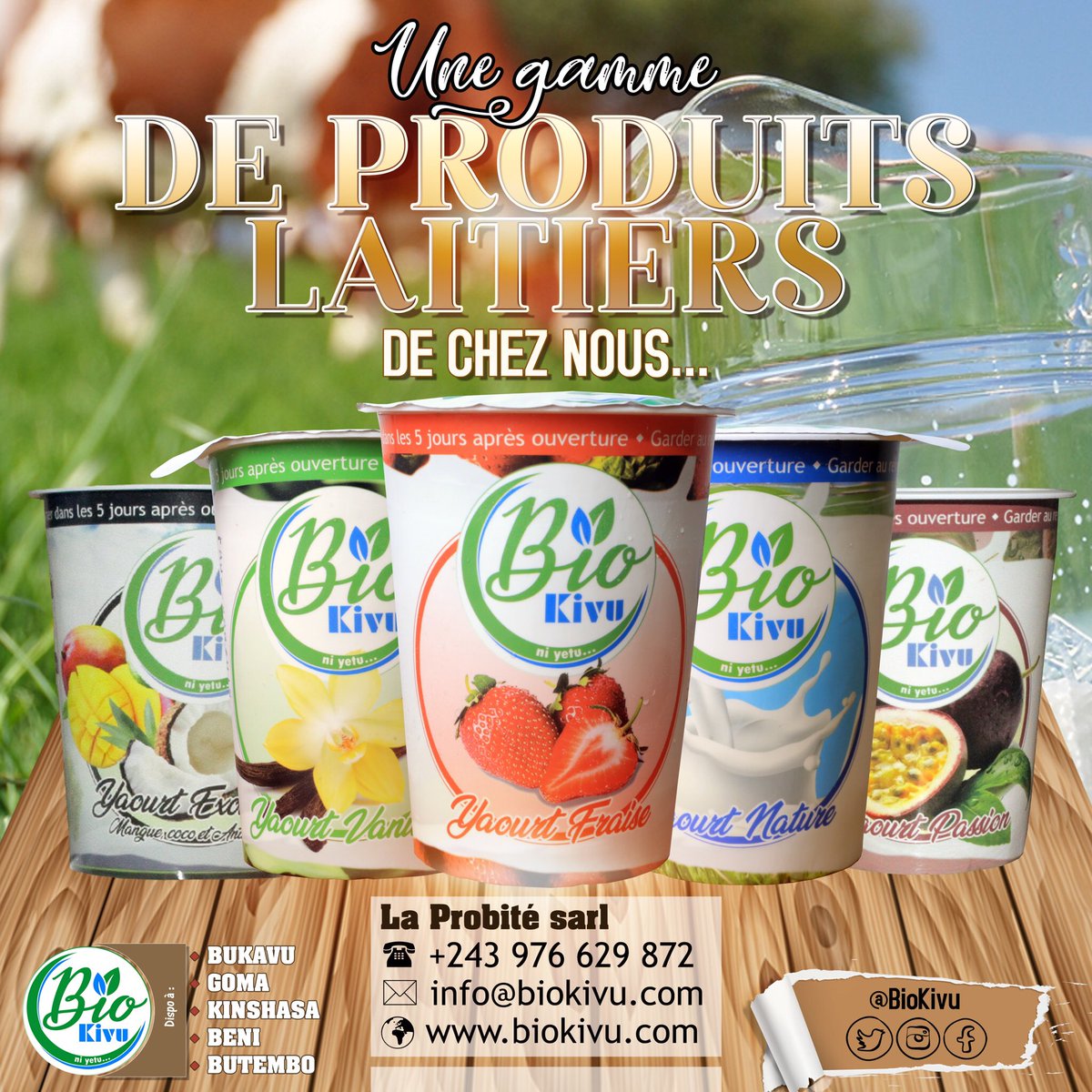 _BioKivu's tweet photo. Yaourt BioKivu...
Une gamme de yaourts 🥛à base de lait entier et frais des vaches 🐄 du KIVU, 100% naturels 🌿, 100% Congolais 🇨🇩et 100% traçable. 

Pour tout contact ou livraison :
📞 +243976629872
📬 info@biokivu.com
🌐 https://t.co/6FZZsf5jTi https://t.co/JolwHP4e5w