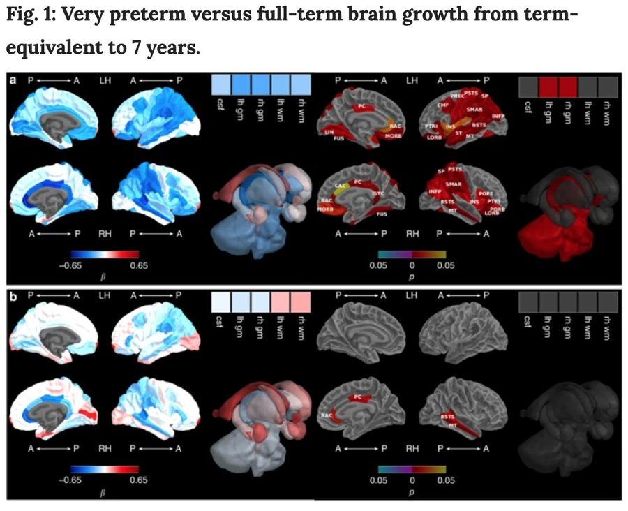 Deanne Thompson tweet media