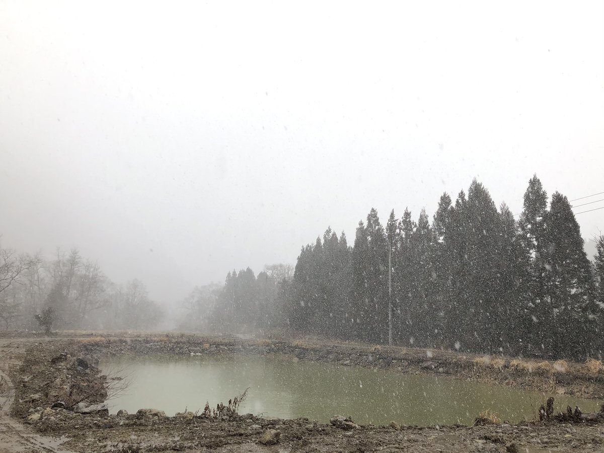 FOMEfukushima's tweet photo. んんー、
雪が降っては作業が進まない… https://t.co/kf416l3B3o