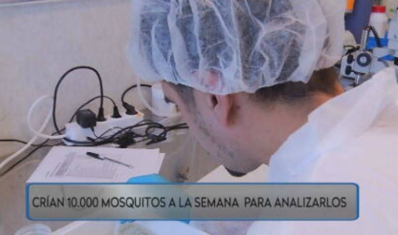 merygaliacho's tweet photo. ¿Sabías que a 20km de Madrid hay un centro de investigación único en el mundo? 🧪👩‍🔬⚗¿sabías que llevan más de 25 años estudiando enfermedades "desatendidas" como la malaria o la tuberculosis? ¿y que crían a la semana 10 mil mosquitos???? 👉 https://t.co/sLLFmVgjR7