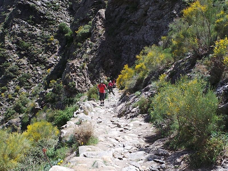 MtnHols's tweet photo. April is a lovely time to walk in the Alpujarra; we would love to show you around. We have availability 23rd - 30th on our Alpujarra in the Spring walking holiday.
https://t.co/6ev9f9w0xJ
#walks #walkingholiday #hikingholiday #Andalucía https://t.co/lEwfse6e6o https://t.co/jg6fg7P3FT