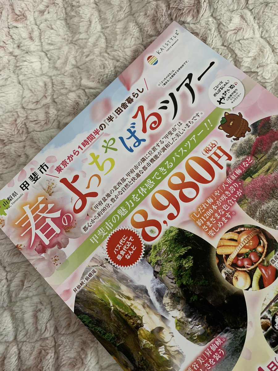 KaistyleB's tweet photo. kaistyle tokyo branch
甲斐市を巡る
春のよっちゃばるツアー
2020年3月14日(土)
https://t.co/Uh9lsVorfJ
梅の花がとてもきれいな季節です https://t.co/mciZ2ZZxSw