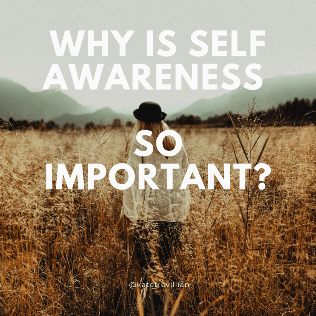 KateTrevillian's tweet photo. Why Is Self Awareness So Important? https://t.co/iQo50s59YT https://t.co/5Q0w3HUOcV