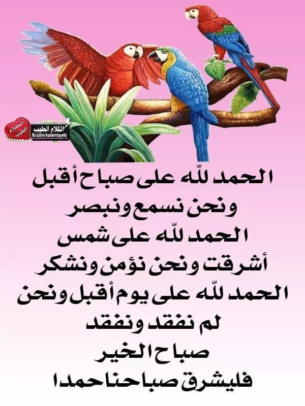 aljreebah's tweet photo. https://t.co/xIf9L6C7A0