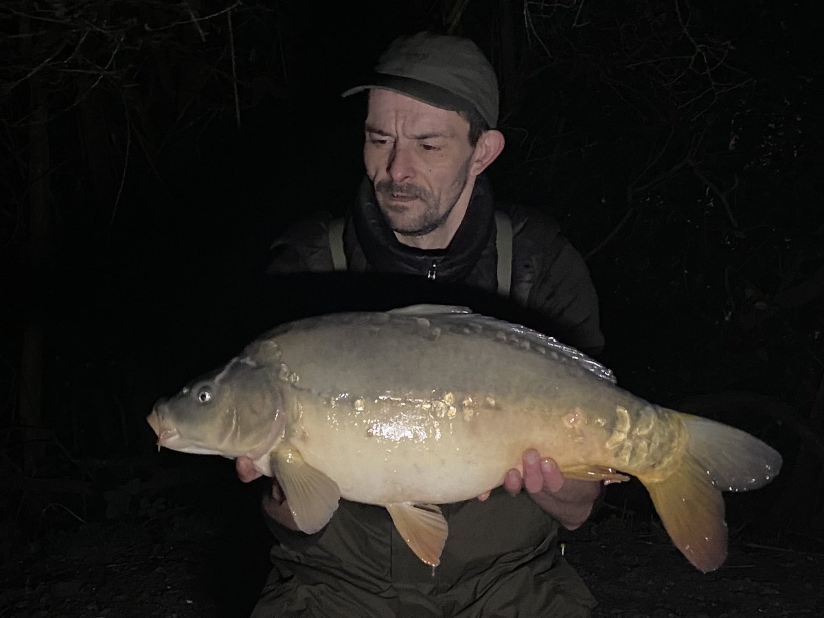 LavenderHallFishery tweet media