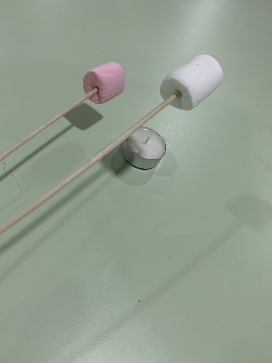 AIS_DigitalEd's tweet photo. In Grade 3 we are learning how heat transfers. Which marshmallow will toast better? #AISGrade3 #AISSciences #AISPrimarySch https://t.co/cZpKyP5LKF