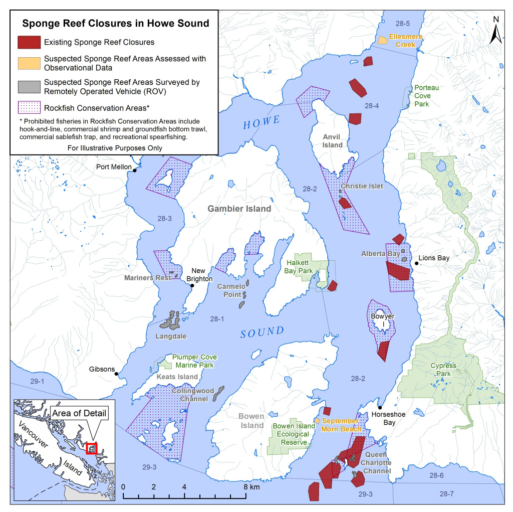 BCMarineLife's tweet photo. Update: Straight of Georgia and Howe Sound Glass Sponge Reef Conservation Initiative https://t.co/75NTY1hX51 https://t.co/BkZFeLcyTx