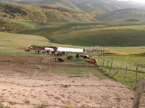 ERDNHAM99401211's tweet photo. @trtdunbugun GÜNAYDINTRTHABER.ORDU.ÇAMBAŞINDA.YAYLASI.ERDİNÇ.HAMLI https://t.co/vT0UV8mpHO