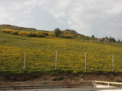 ERDNHAM99401211's tweet photo. @trtdunbugun GÜNAYDINTRTHABER.ORDU.ÇAMBÂŞI.YAYLASI.ERDİNÇ.HAMLI https://t.co/wDoJzvsQl4