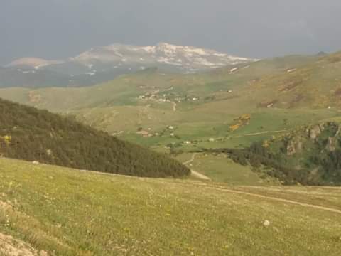 ERDNHAM99401211's tweet photo. @trtdunbugun GÜNAYDINTRTHABER.ORDU.ÇAMBÂŞI.YAYLASI.ERDİNÇ.HAMLI https://t.co/wDoJzvsQl4