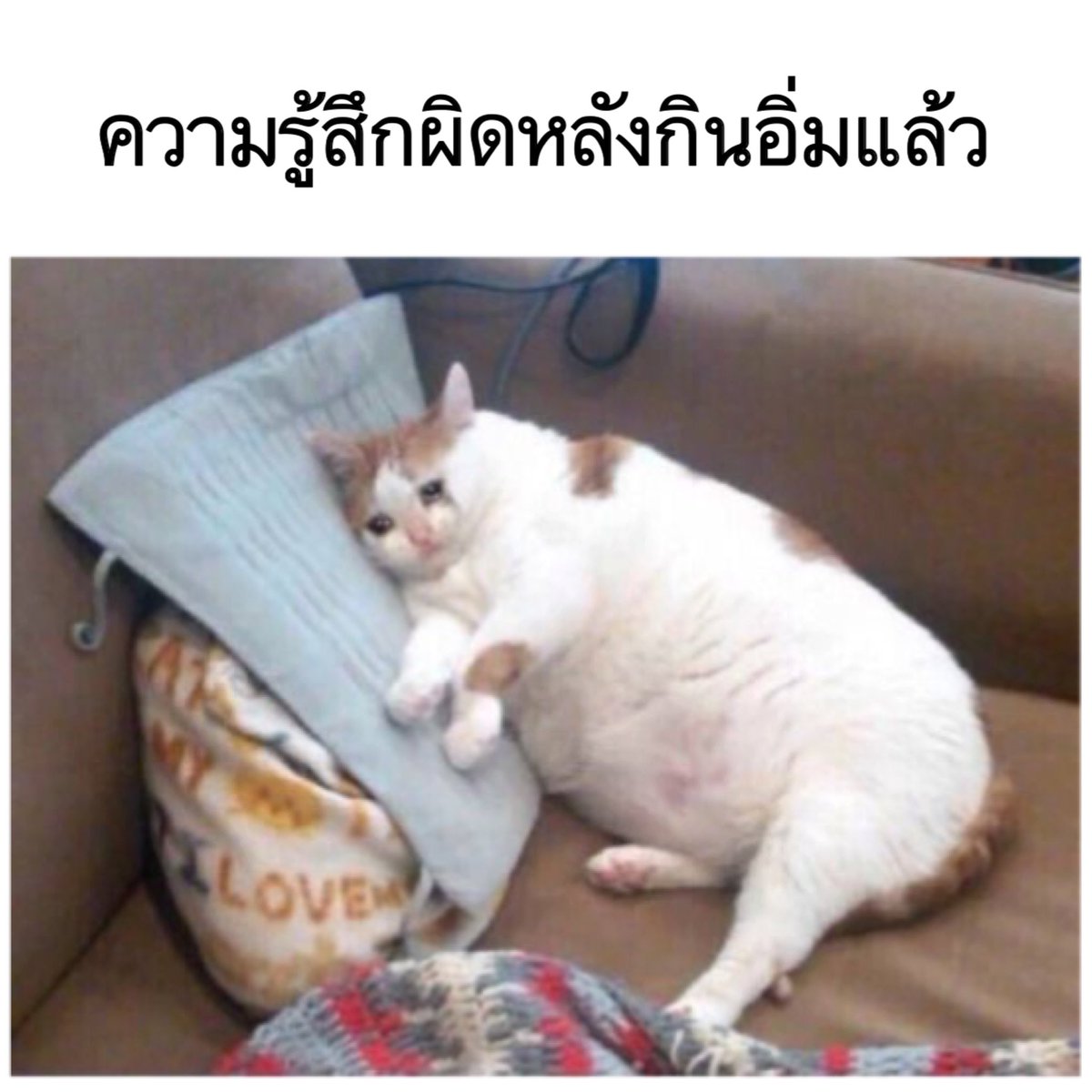แพรจ๋าヾ tweet media