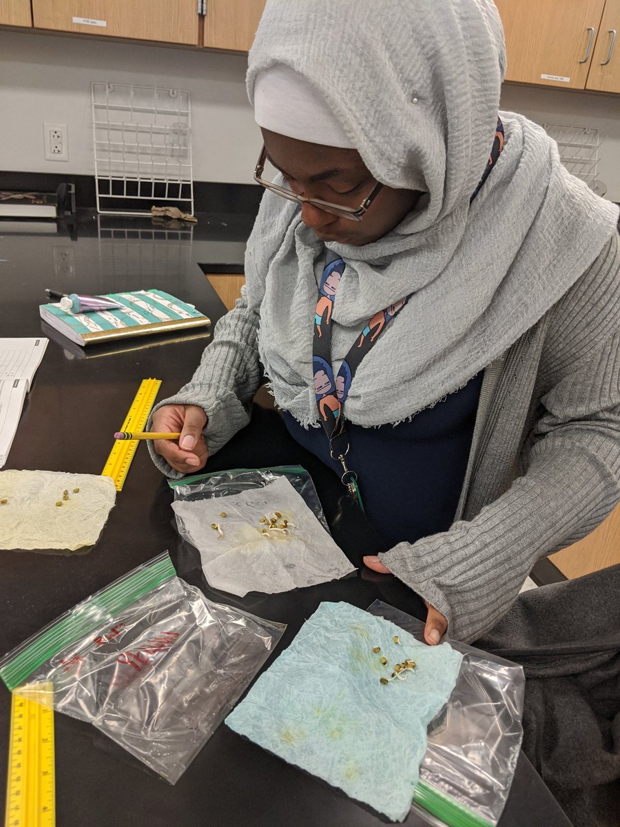 mrsingrambio's tweet photo. Why READ about science when you can DO science #bioislife #closeobservations #academicconversations #analyticalreadingandwriting #preapbio @DougSBoard @CollegeBoard https://t.co/pqwpFw4CFk