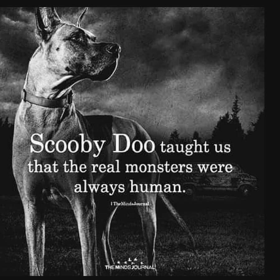 kdn_tx19's tweet photo. Sad but true. I have stared evil in the face on more than one occasion, and it doesn’t always look like you would imagine. https://t.co/NKN8Sreo8U