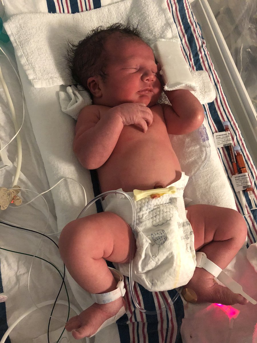 wesander's tweet photo. Meet little Theodore James Anderson, 3.5 weeks earlier than we hoped. You can call him Theo. Theodore for his great grandfather, James for his grandfather. 

8 lbs, 6 oz, 21.5 in. long for those keeping score at home.

Theo and Belle now have us wrapped around their fingers/paws https://t.co/gY0q4mKT5A
