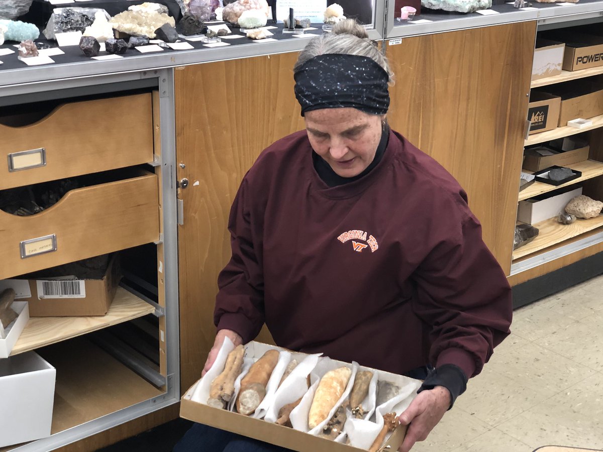 Virginia Tech Natural History Club tweet media