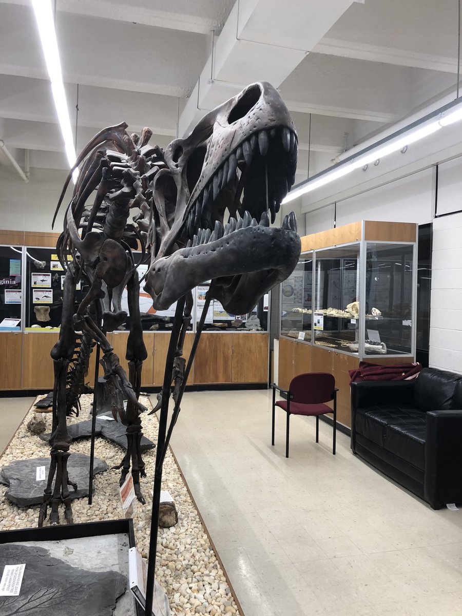 Virginia Tech Natural History Club tweet media