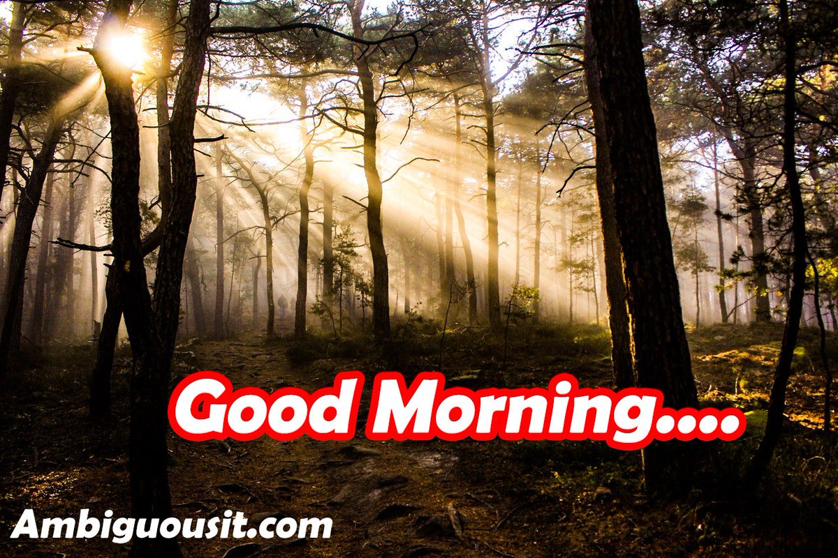 Wake up every morning with the thought that something wonderful is about to happen.
#Ambiguous #AmbiguousSolution #WebDevelopment #GoodMorning #SEO #DigitalMarketing