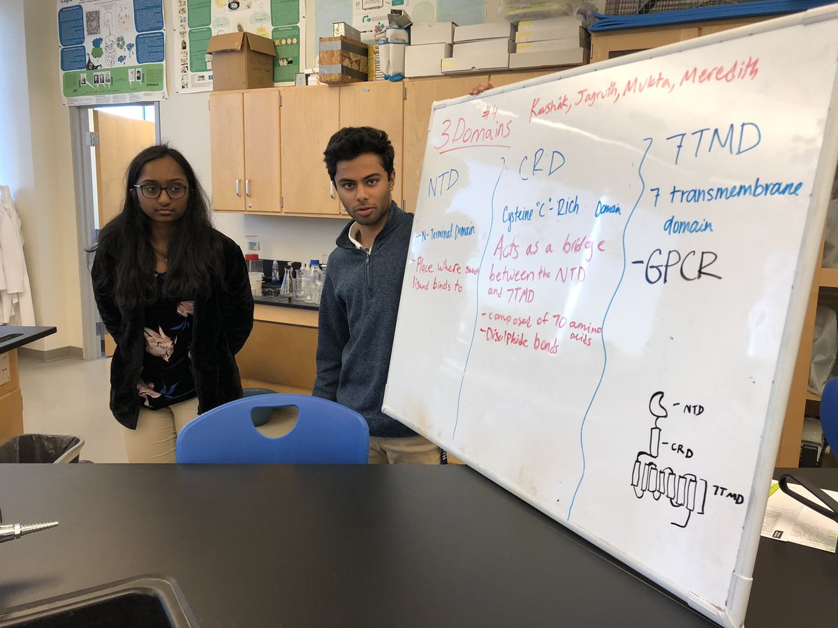 capsbio's tweet photo. What do you know about human sweet taste reception? #glycophore #T1R2 #T1R3 #heterodimer #gproteincoupledreceptor #Nterminaldomain #cysteinerichdomain #7transmembranedomain https://t.co/2kQySOBOy6