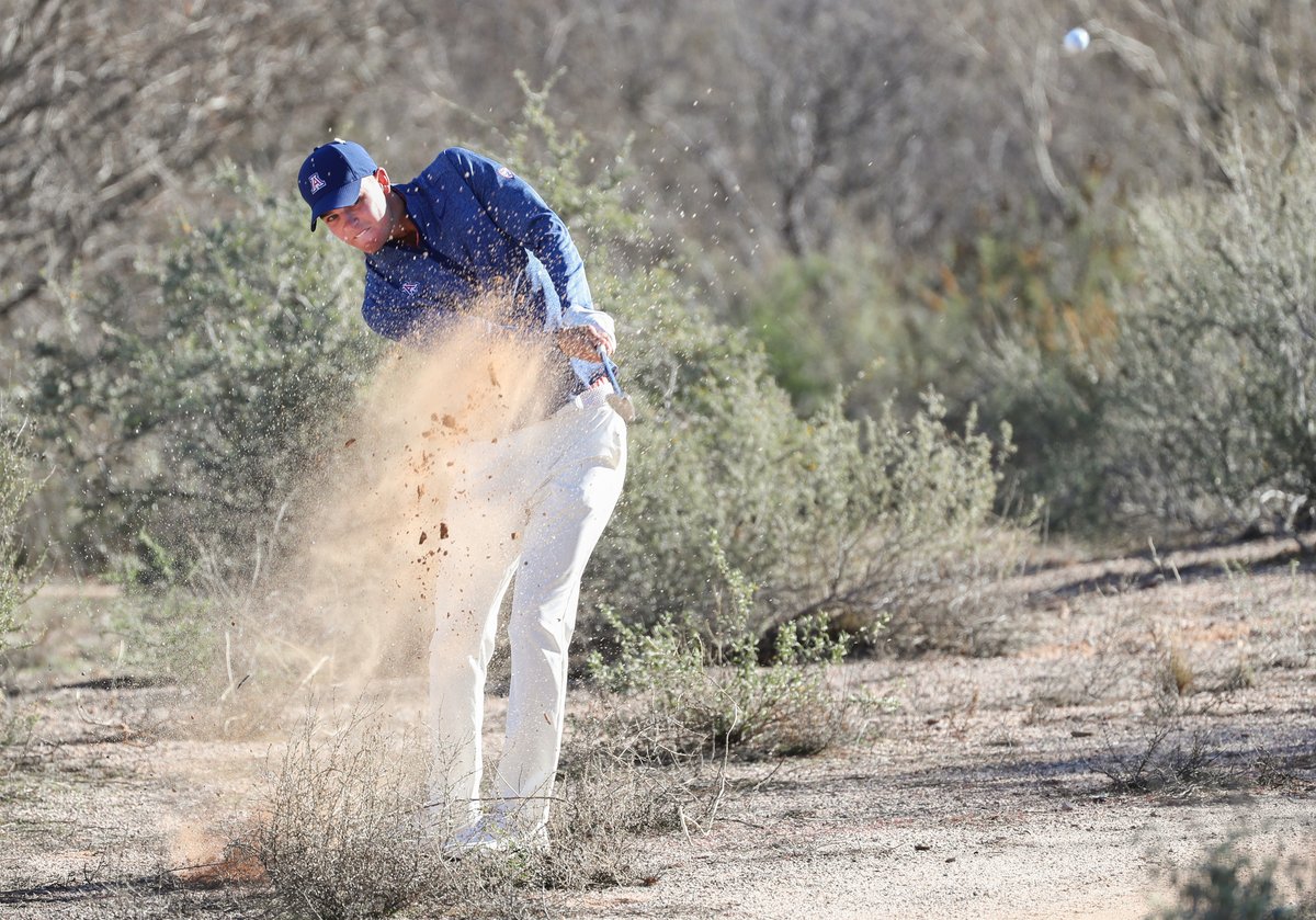 Arizona Wildcats Photography tweet media