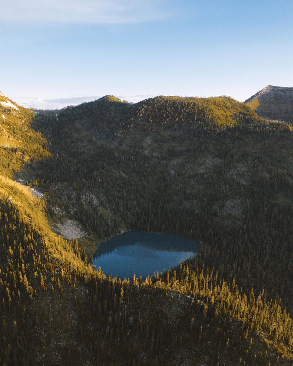 FlexibleFuture's tweet photo. The golden hour paints the Montana woods. Makes me feel lucky to be alive.
#Montana #GlacierNationalPark #travel #nature #mountains #lake #trees #forest #woods #montanamoment #adventure #outdoors #wildernessculture #nationalparks #optoutside #getoutside #landscape https://t.co/9r9vFAkI9X