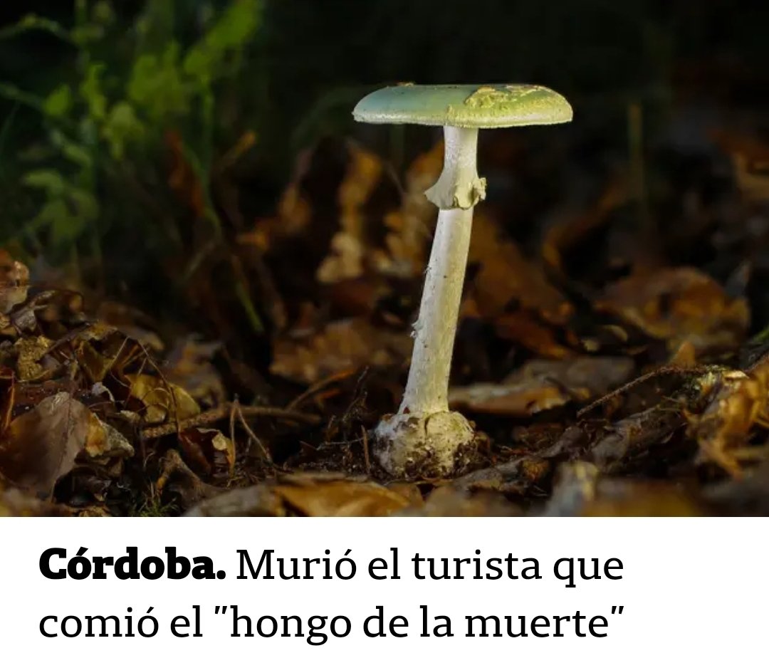 manuterradas's tweet photo. Final inesperado https://t.co/dqDBsRcNmE