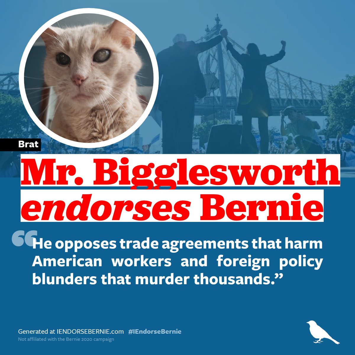 SenatorMeow's tweet photo. finally persuaded a Trump voter #NotMeowUs https://t.co/HvXZwWKeGW