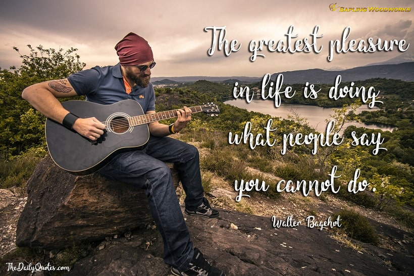 SaplingWoodwork's tweet photo. The greatest pleasure in life is doing what people say you cannot do. Walter Bagehot  via: https://t.co/kPPapvxUlP https://t.co/pfp5p176p5