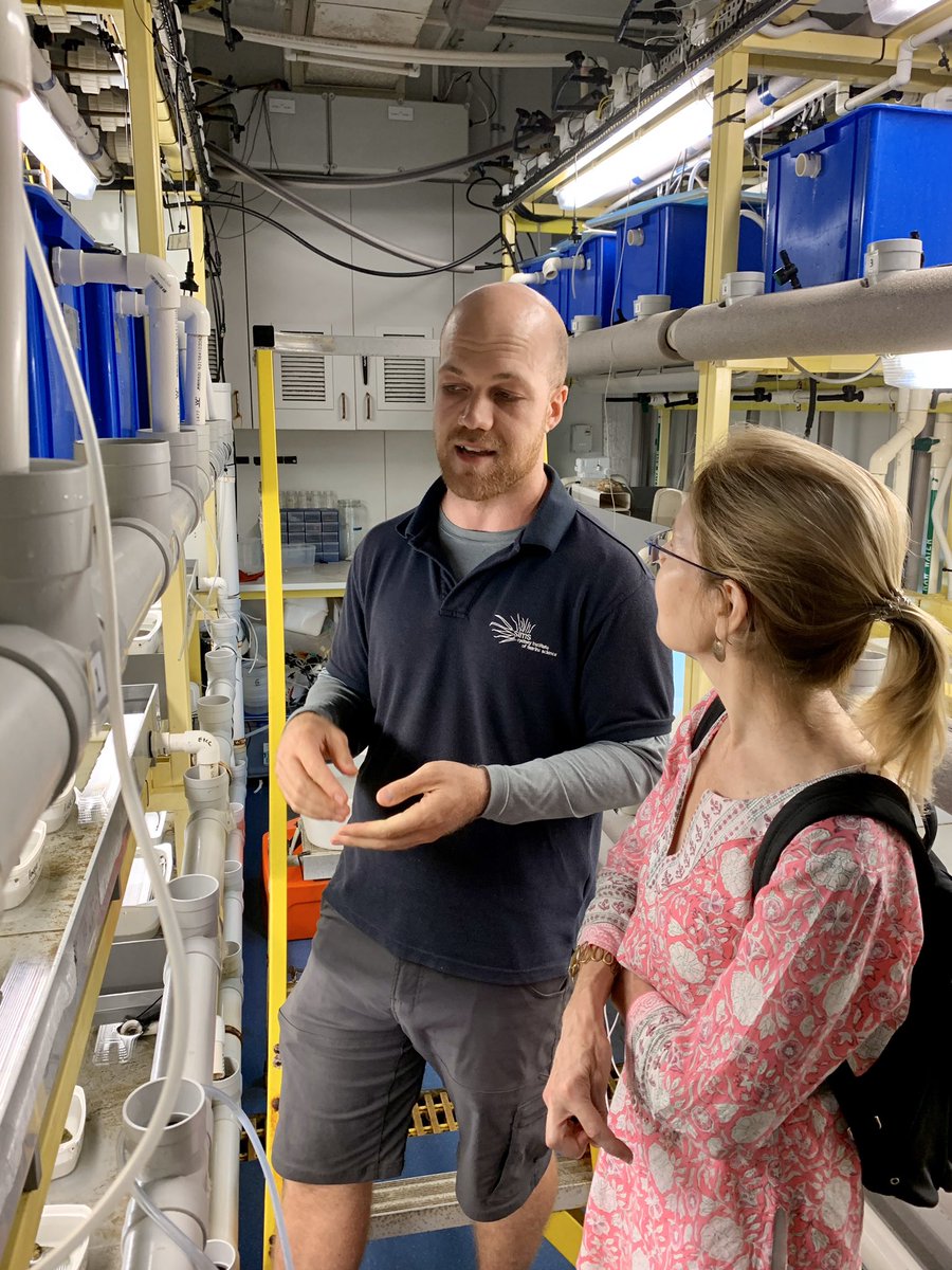 gabrielleupton's tweet photo. Visit to @SydneyMarine asking❓how the #NSWGoverment can help spread the impacts of their VIP #environmentalsustainability work. #AcceleratingR&amp;DinNSW https://t.co/Twv9zUauGk