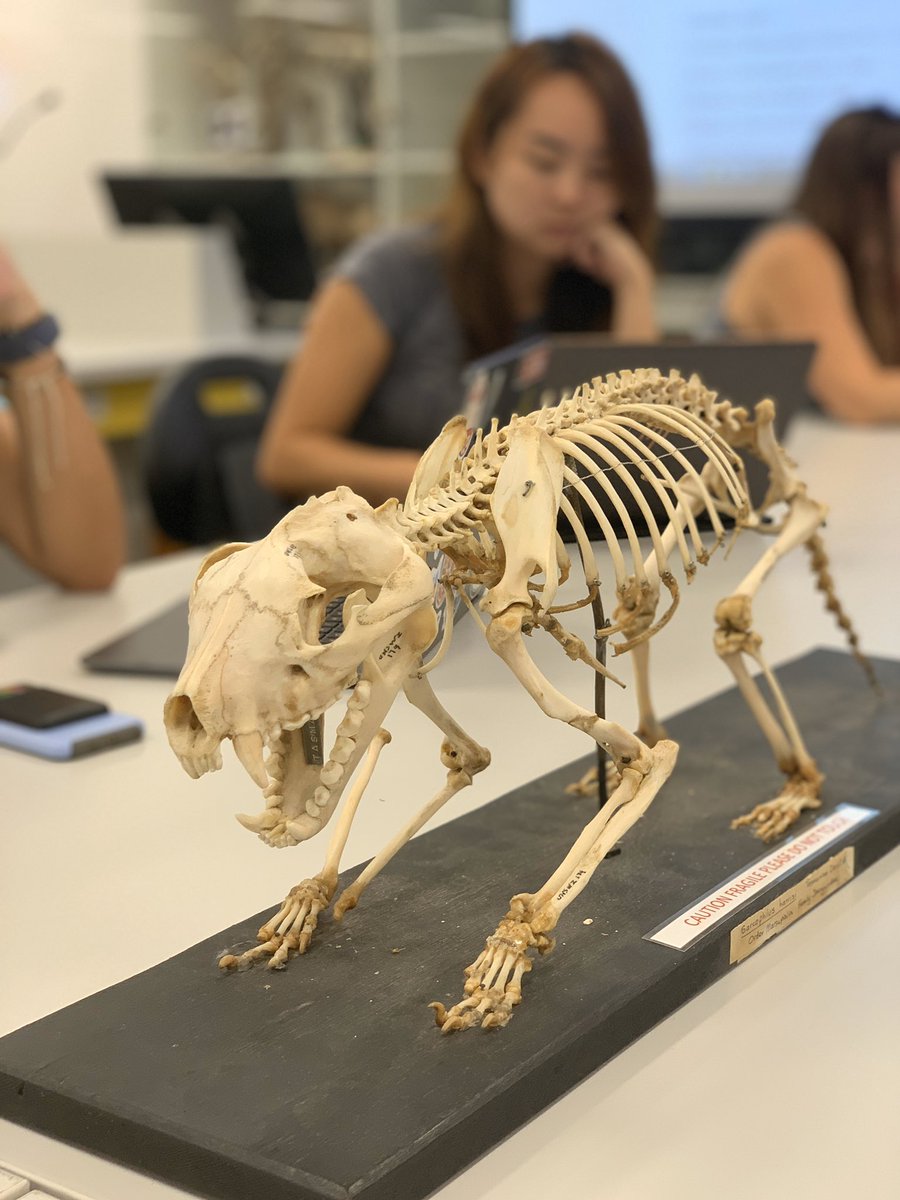 Chloe Rosenfeld tweet media