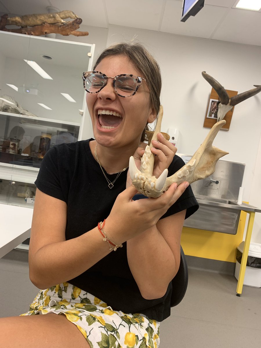 Chloe Rosenfeld tweet media