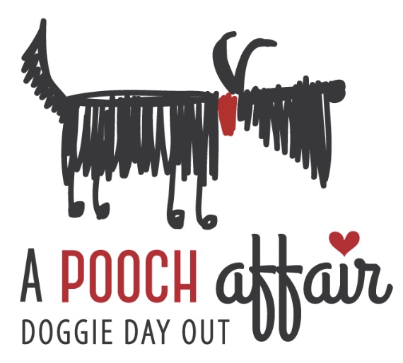 Petcationz's tweet photo. A Pooch Affair 2020 - https://t.co/vXcsOg3wDX https://t.co/kG4yNZOAYI