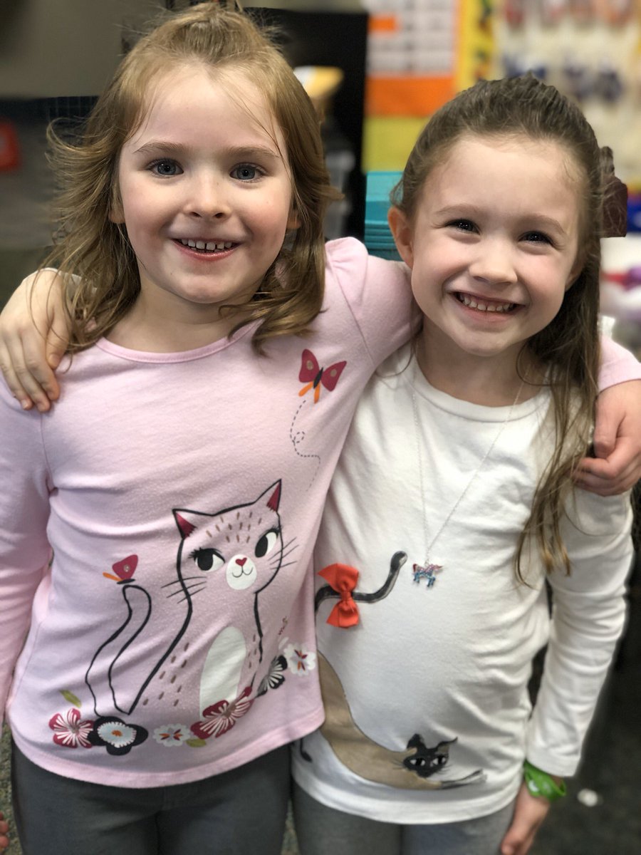 Mrs. Stehr tweet media