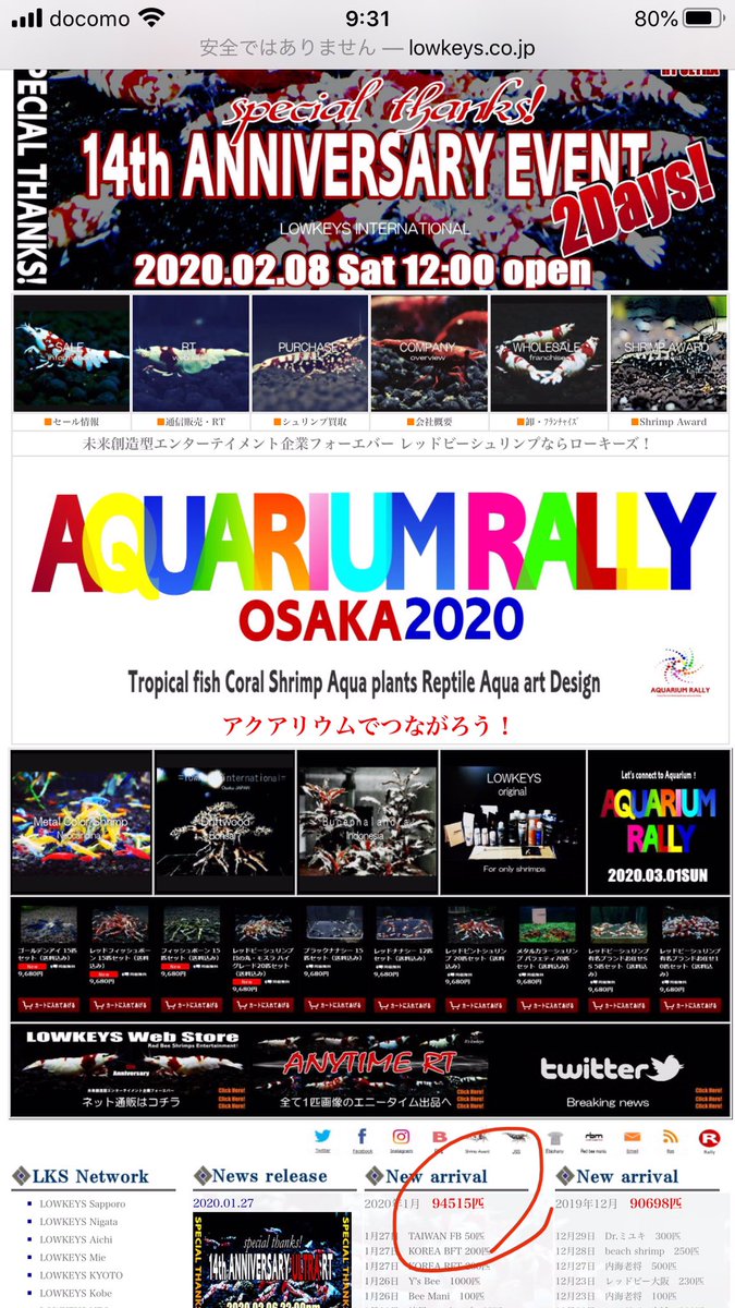 LOWKEYS2006's tweet image. 当選者発表‼️

今回は2020年1月のシュリンプ入荷匹数を基に簡単抽選を行いました

150番目にリツイートして頂いた方が当選となりました！

計算間違いなどがあっても当選者は変わりません

DMにてご連絡お願いします
お名前・ご住所・電話番号・到着希望日も合わせてお知らせ下さい