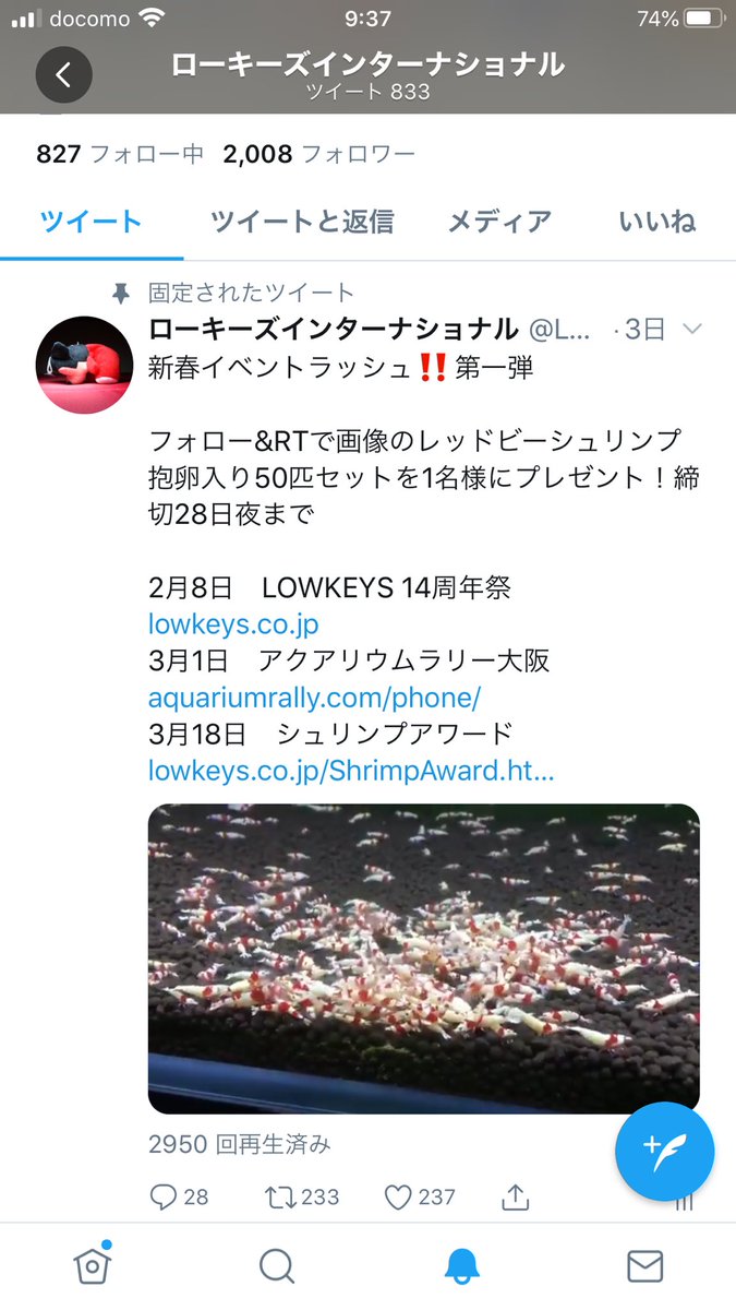 LOWKEYS2006's tweet image. 当選者発表‼️

今回は2020年1月のシュリンプ入荷匹数を基に簡単抽選を行いました

150番目にリツイートして頂いた方が当選となりました！

計算間違いなどがあっても当選者は変わりません

DMにてご連絡お願いします
お名前・ご住所・電話番号・到着希望日も合わせてお知らせ下さい