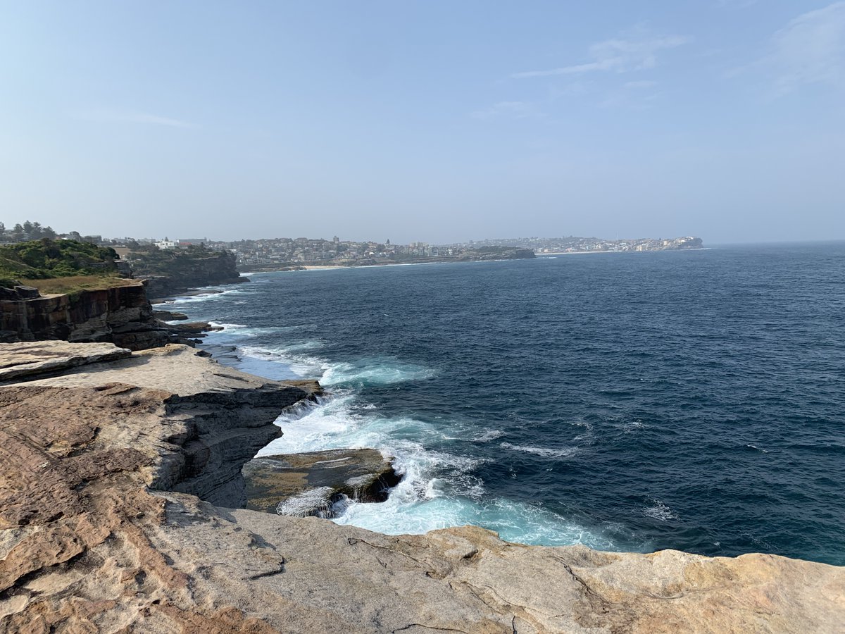 jkaplan_marine_bio tweet media