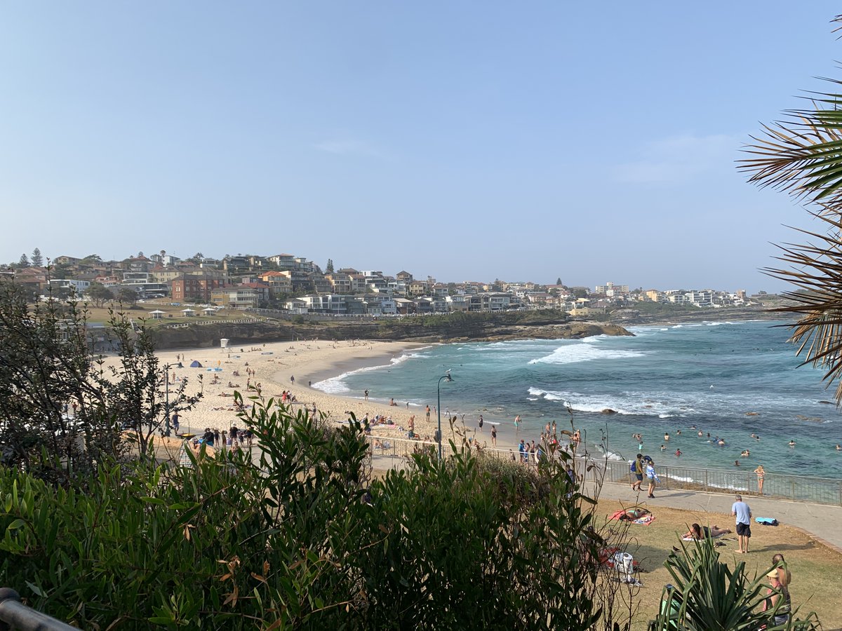 jkaplan_marine_bio tweet media