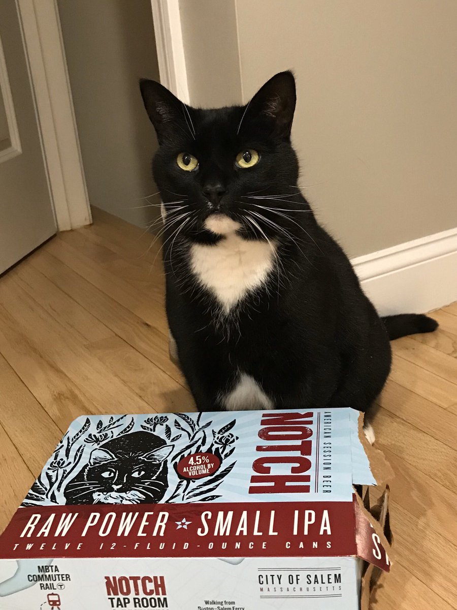 debrunsboston's tweet photo. Big Mo bringing the raw power. @NotchBrewing https://t.co/ZUuRA4ouNE