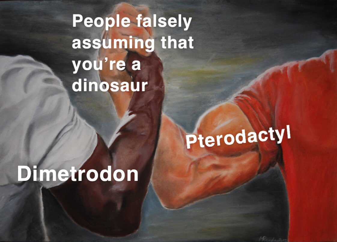 Virginia Tech Natural History Club tweet media