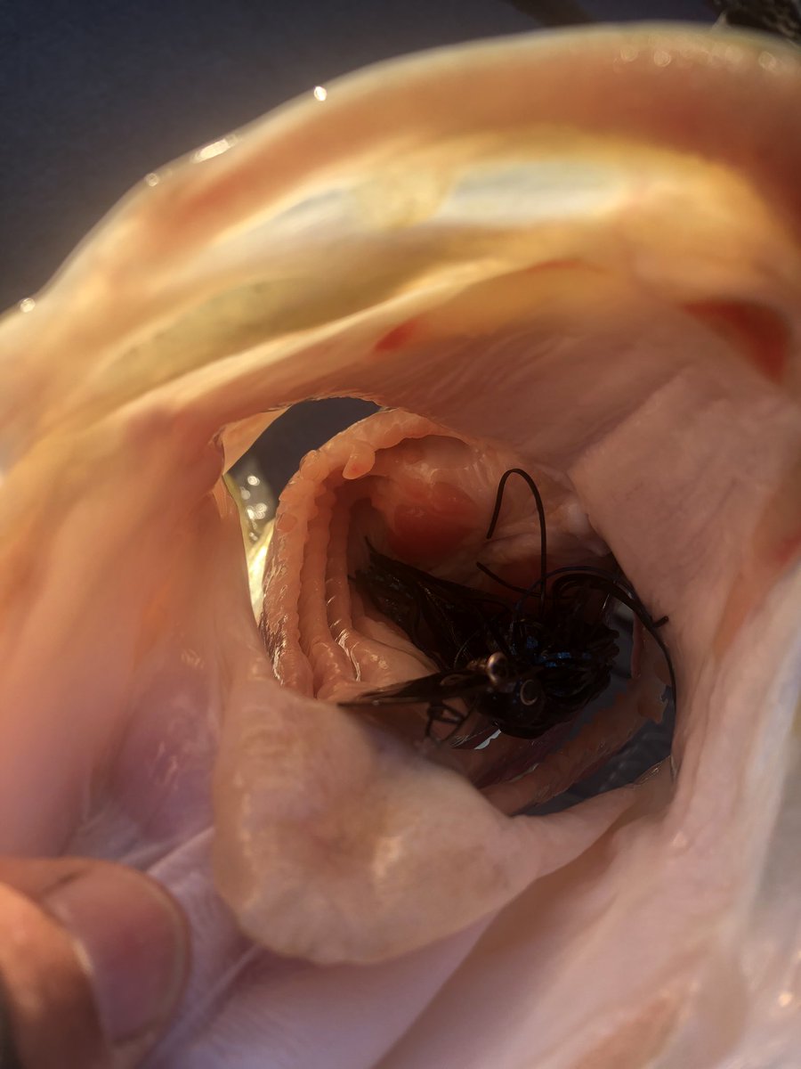 Hello down there! 😂