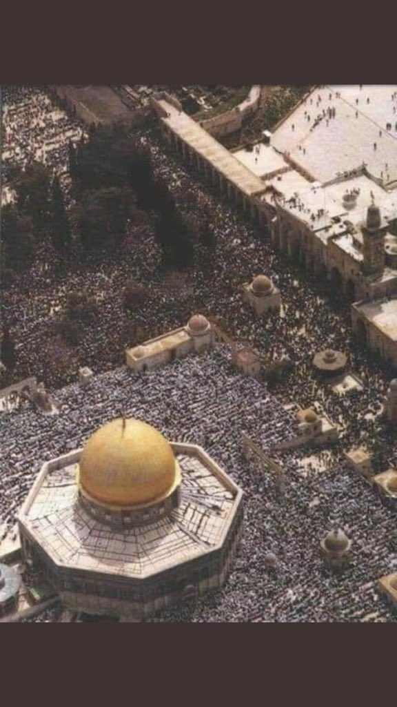 fnn0096's tweet photo. اللهم لا ترفع لليهود في القدس راية
ولا تحقق لهم في فلسطين غاية 
اللهم امين يارب العالمين 

#صفقة_القرن_لن_تمر https://t.co/gyVcOdzlZE