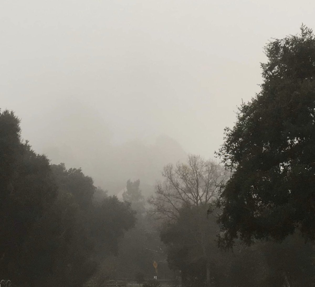 Two pix taken in front of #topangapetresort the morning of Kobe’s helicopter crash. In 30 years we’ve never seen the fog this thick. #rockformation #RIPMambaAndGianna #sosad