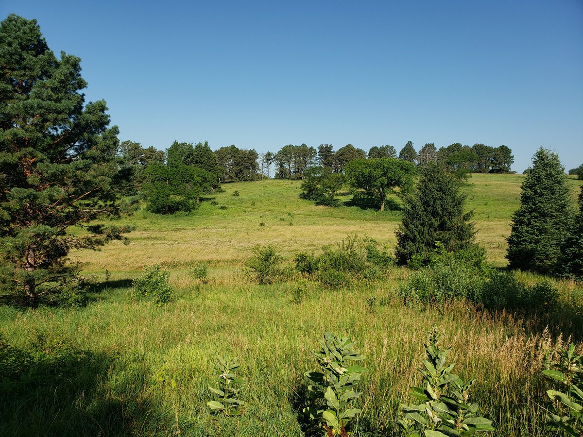 lkortbutler's tweet photo. @janekleeb Are we sharing #Nebraska prairie pics? #protectprairie #NoKXL https://t.co/s93DMFSfW3