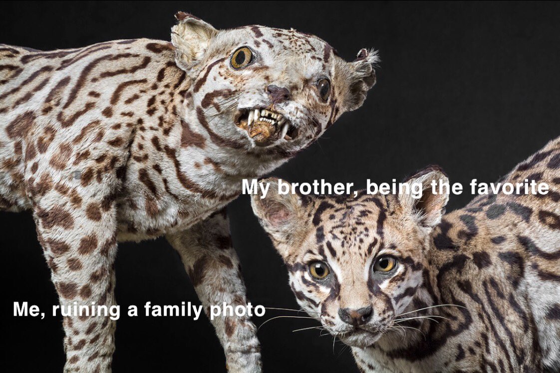 Virginia Tech Natural History Club tweet media
