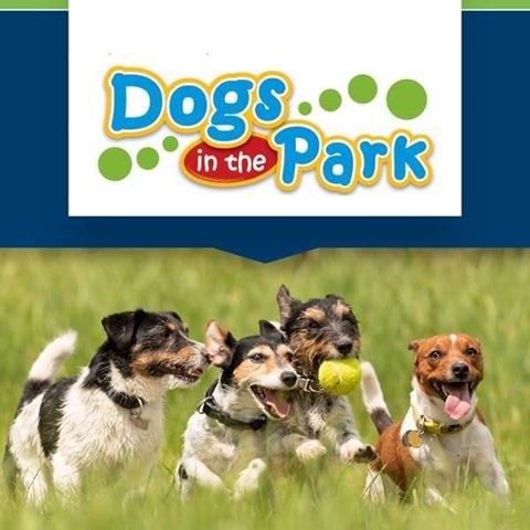 Petcationz's tweet photo. Dogs in the Park - Mattara Festival NSW - https://t.co/wnvGnOvhFO https://t.co/QspTMGOihq