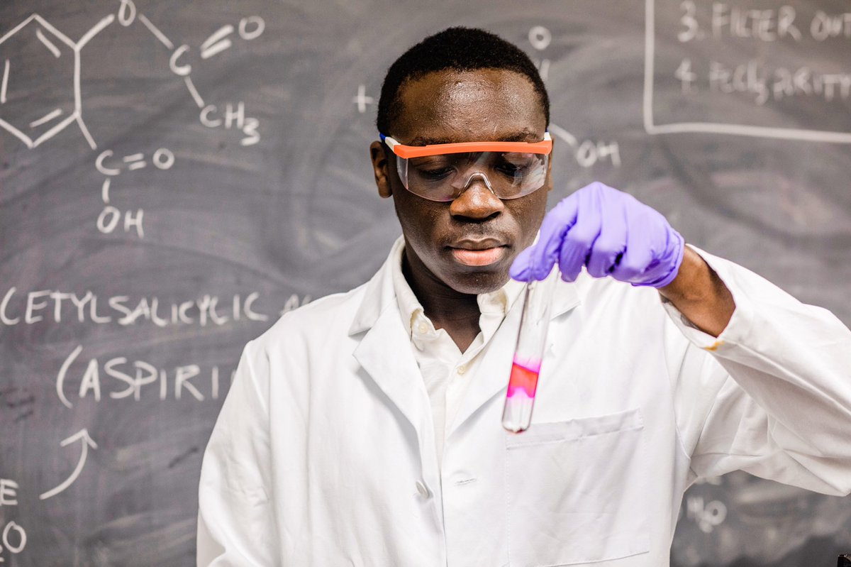 South Carolina Honors College tweet media