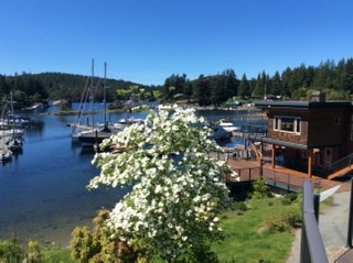 Painted Boat Resort tweet media
