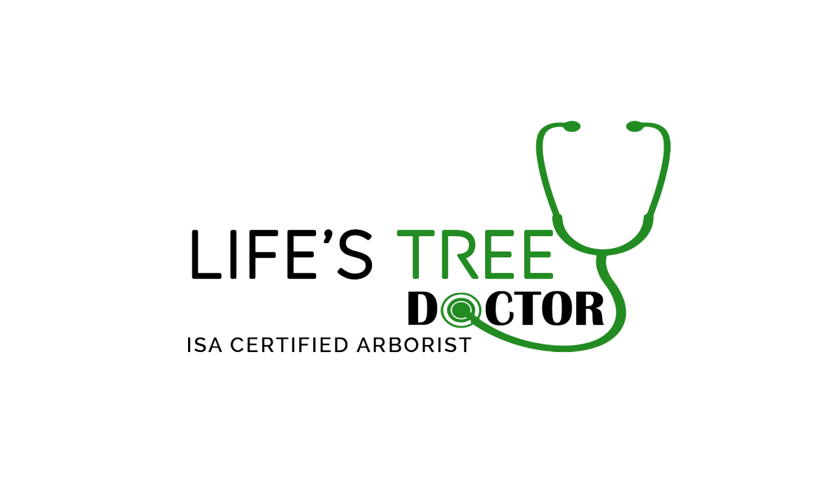 Certified Arborist, just call me the Tree Dr #TreeDoctor
#treeService #atlanta #blackbusiness #cobbcounty #saveTheTrees #stumpGrinding