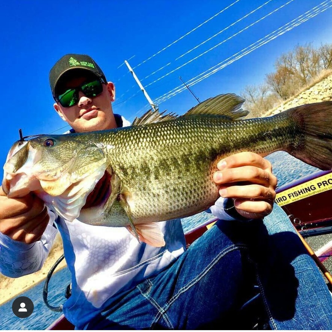 LakeHouseLures's tweet photo. Throw back to this stud caught on the midnight craw football jig!
#bassfishing #lakehouselures https://t.co/DK97crtTrF